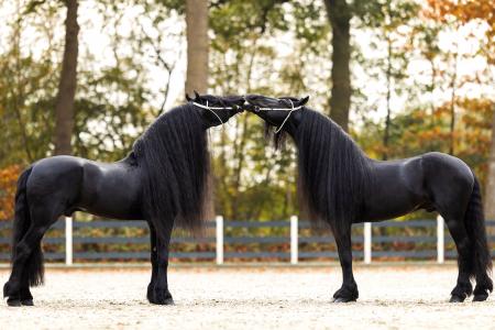 Epke en Jouwe